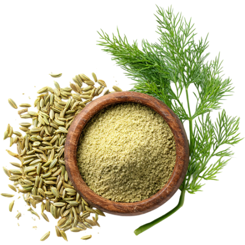Fennel Seeds